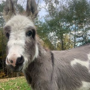 Meet your Posher, Kelsey